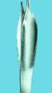 Feilchenfeld Forcep Serrated 4